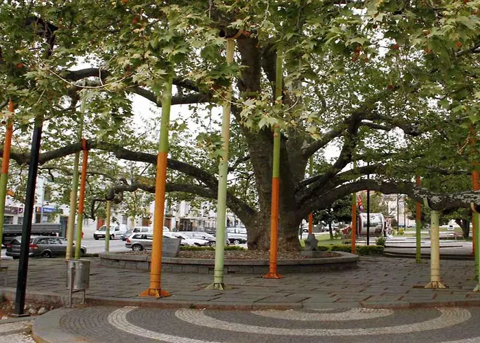 Rossio Hotel Portalegre