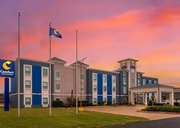 Comfort Inn & Suites Houston Fm1960 - Champions Louetta
