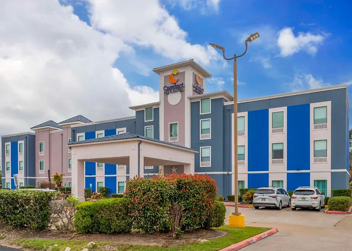 Comfort Inn & Suites Houston Fm1960 - Champions Louetta