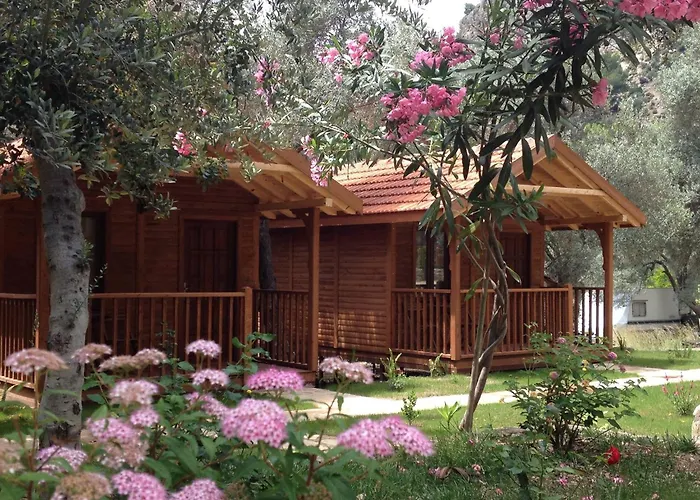Kidrak Otel Montenegro-1 Faralya