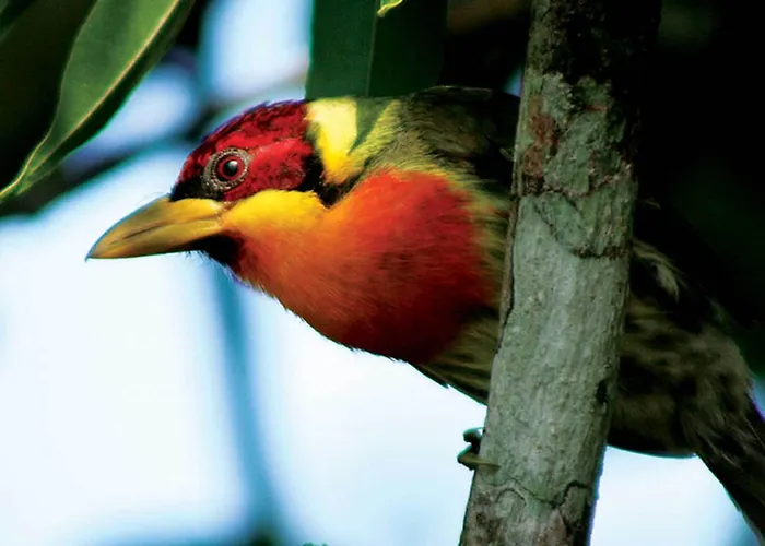 Inkaterra Reserva Amazonica Puerto Maldonado