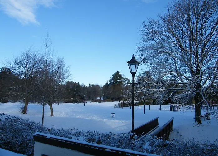 Tumbling Weir Hotel Ottery St Mary