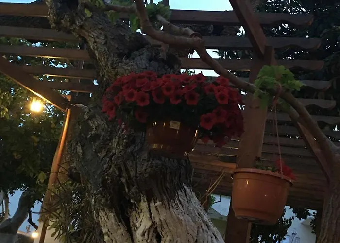 The Bunch Of Grapes Inn Pissouri
