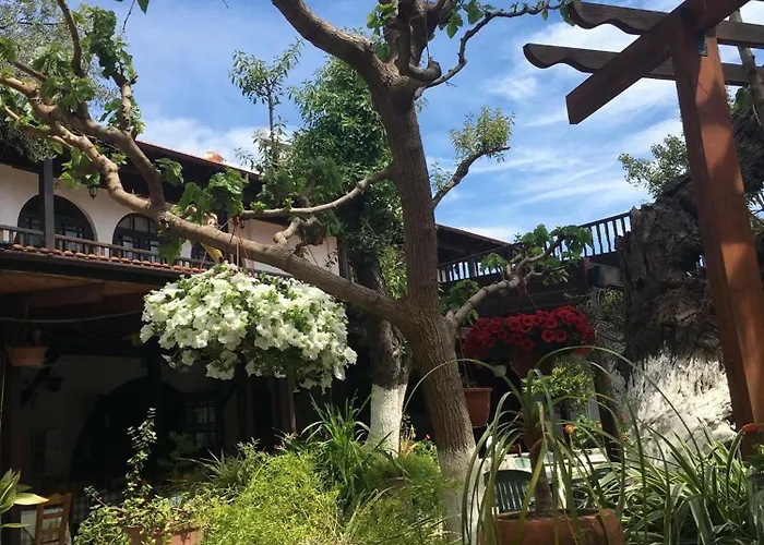 The Bunch Of Grapes Inn Pissouri