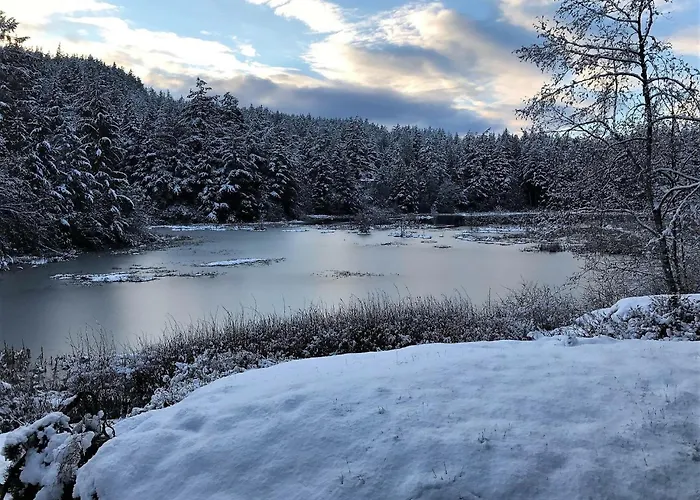 Otter'S Pond Bed And Breakfast Eastsound