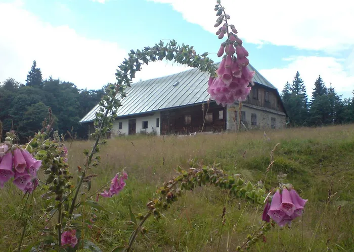 Zur Alten Dampfsäge - Gasthaus-Pension Weber Lindberg