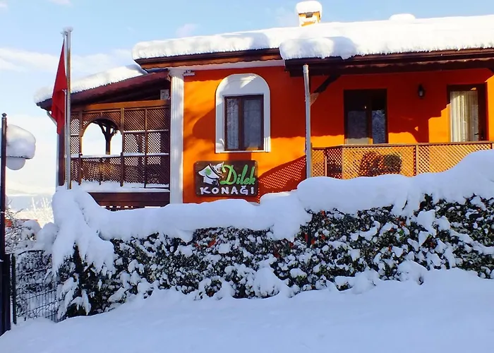 Sapanca Dilek Konagi Hotel