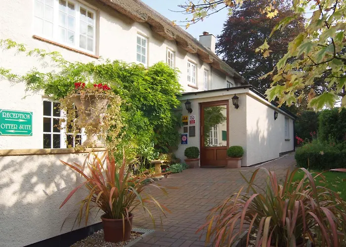 Tumbling Weir Hotel Ottery St Mary