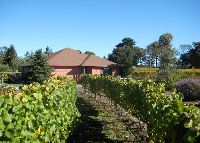 Pearlessence Vineyard Inn Sebastopol
