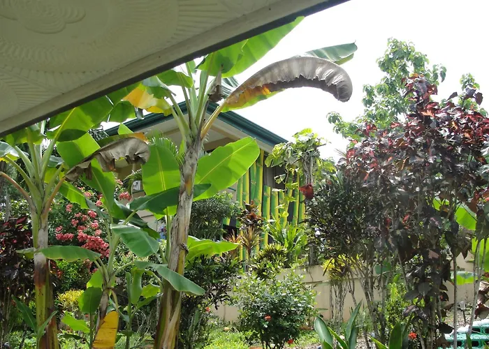 Big Bamboo De Uvita