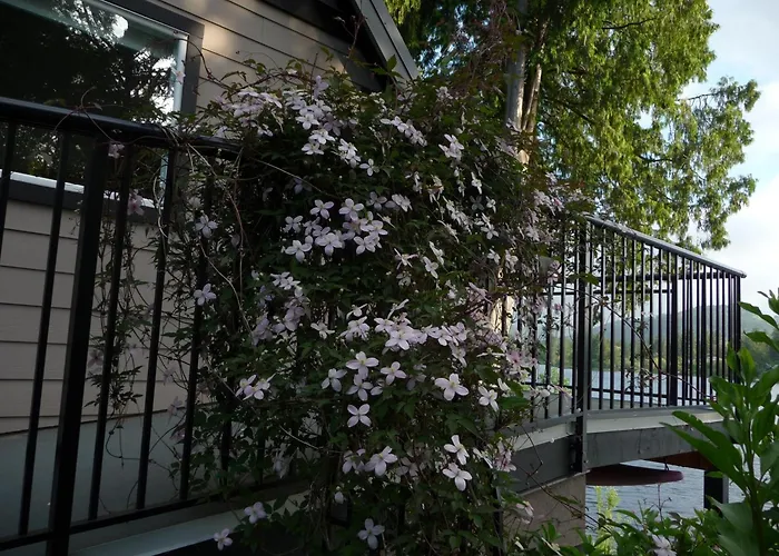 Cycle Inn Bed And Breakfast Langford