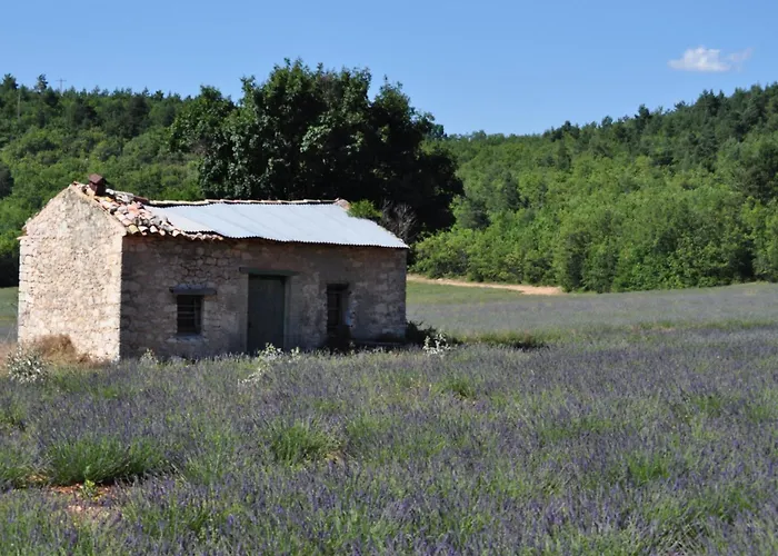 Le Mas des Anges Cheval-Blanc
