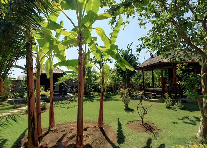 Sawah Lovina Hotel