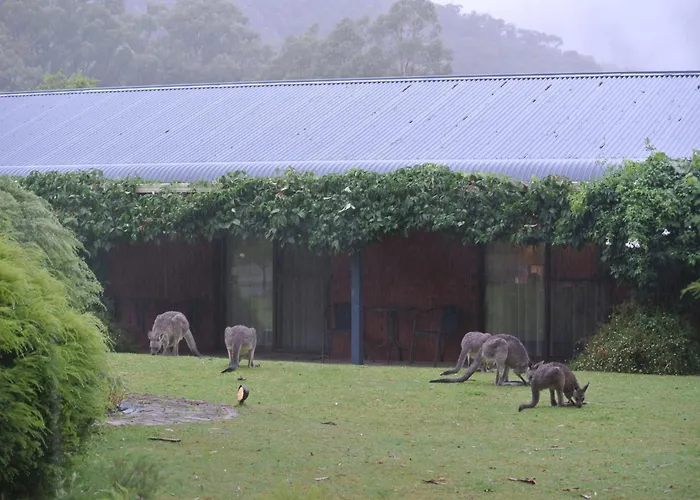 Kookaburra Motor Lodge Halls Gap