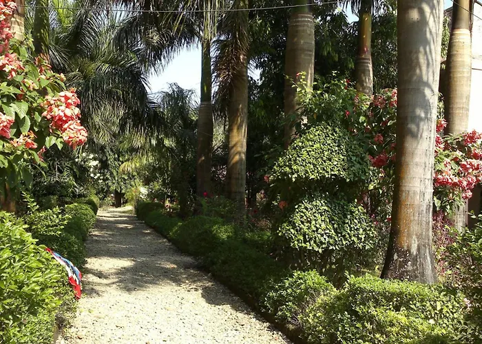 Sauraha Resort