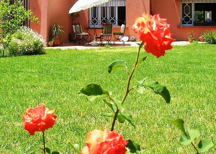Riad Dar Zidane Meknès