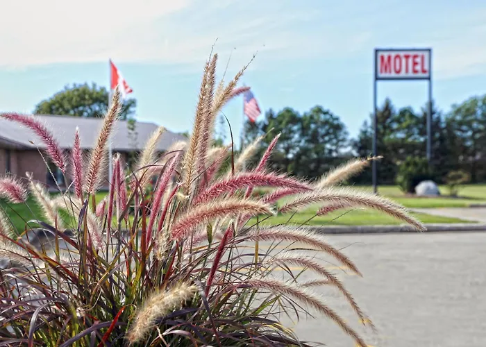 King Hotel Palmerston