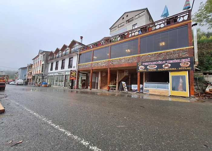 Hamsikoy Tas Otel Trabzon
