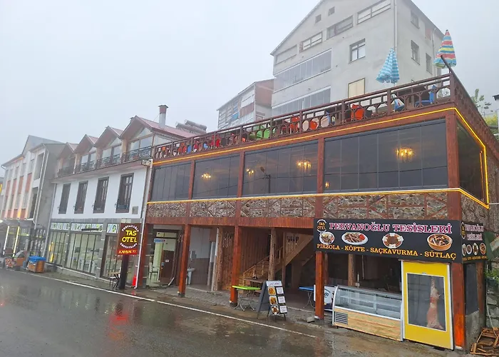 Hamsikoy Tas Otel Trabzon