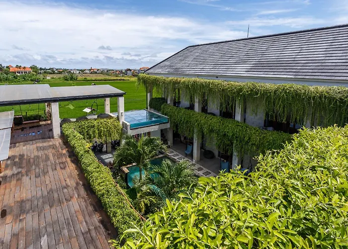 Canggu Hype