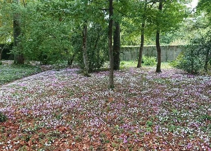Le Buisson Hotel Montlouis-sur-Loire