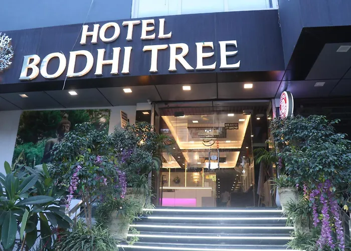 Hotel Bodhi Tree Patna 