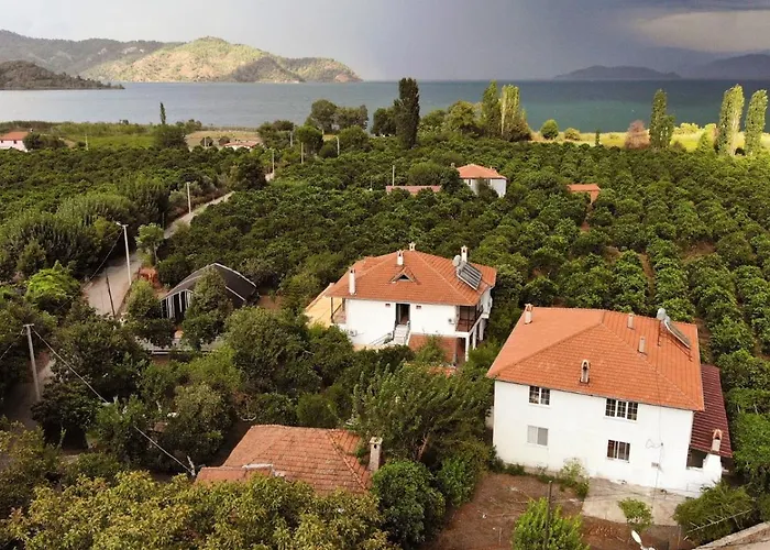 Soul Green Mugla