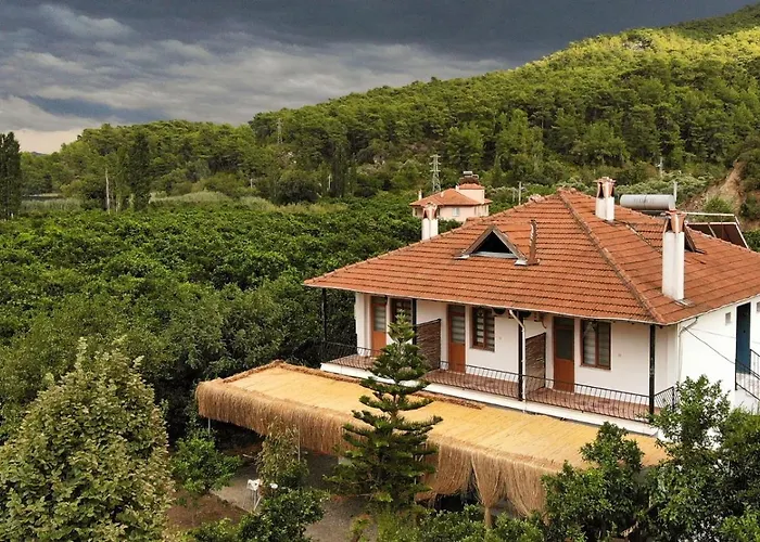 Soul Green Mugla