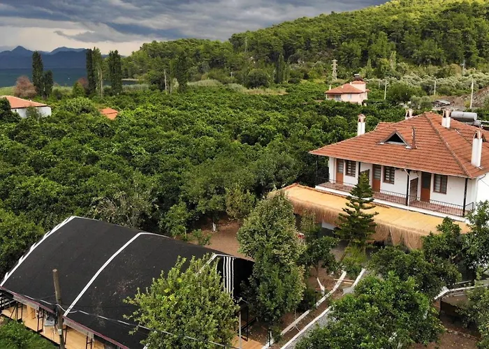 Soul Green Mugla