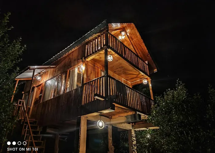 The Tree Top Treehouse Jibhi