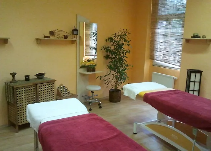 Saraya Wellness&Penzion Teplice