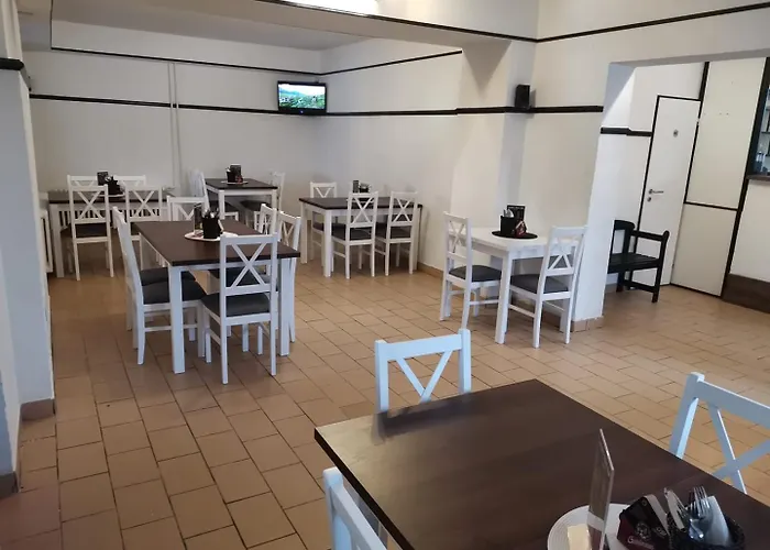 Hotel Goethe Aš