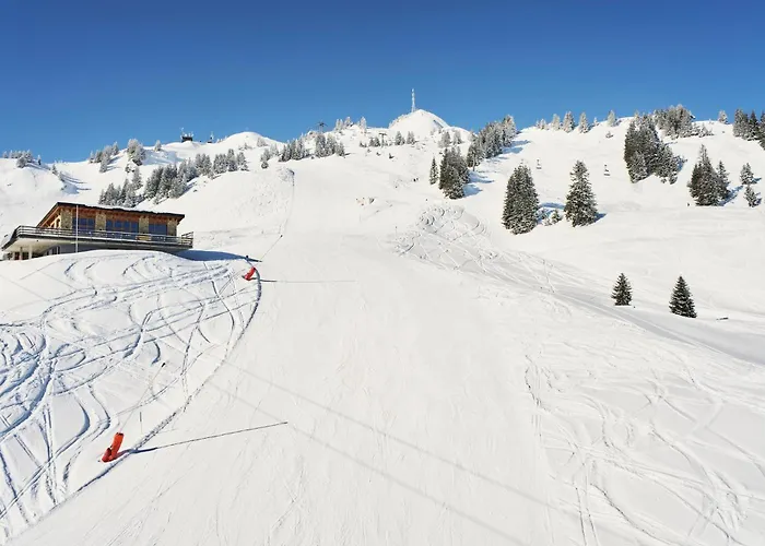 Hahnenkamm Hostel Reuthe