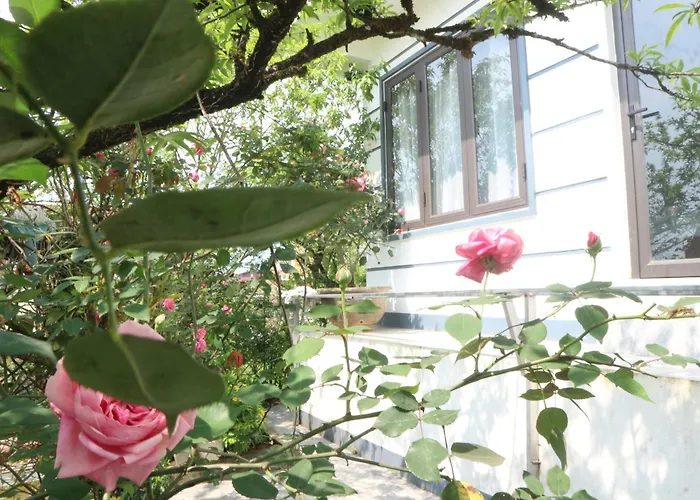 Mây Núi Homestay Sa Pa