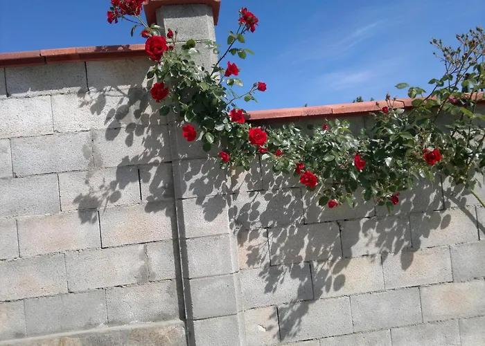 Hotel Poseidon Altın Kumlar