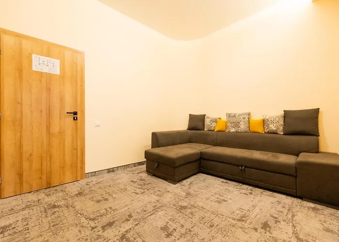 Pensiunea Floarea Soarelui Braşov
