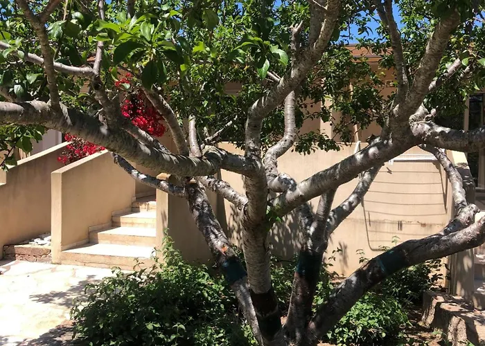 Les Jardins De Santa Giulia - Charmante chambre d'hôte Porto-Vecchio 