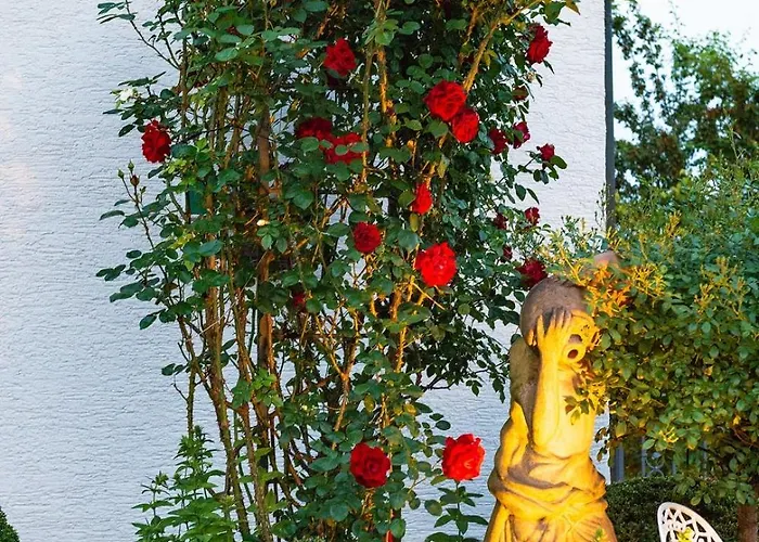 Hotel Haus Buena Vista Bad Kissingen