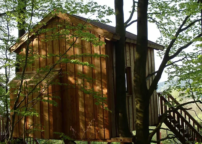 Baumhaushotel Solling Uslar