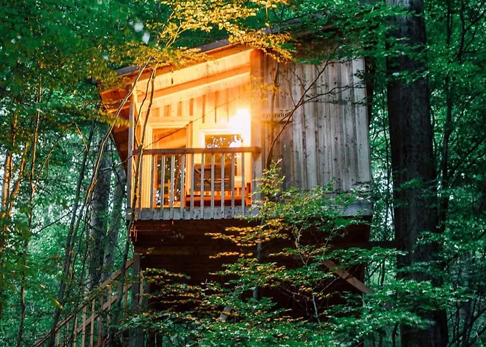 Baumhaushotel Solling Uslar