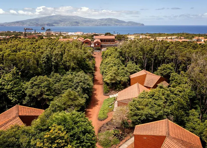 Alma Do Pico - Nature Residence Madalena 