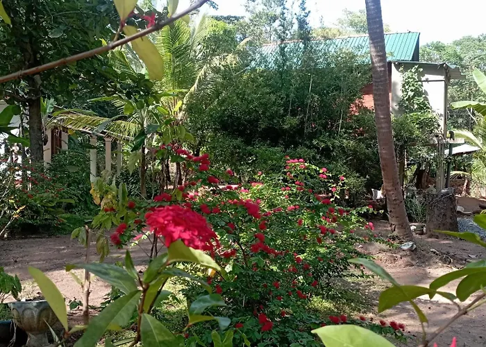 Sanjana Home Stay Habarana