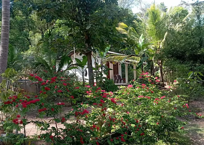 Sanjana Home Stay Habarana