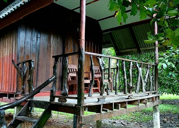 Bamboo House Hotel Khao Sok National Park