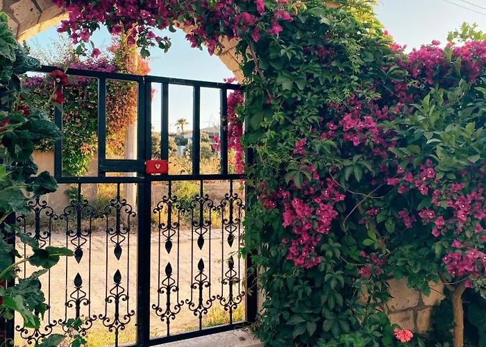 Limon Hotel Çeşme