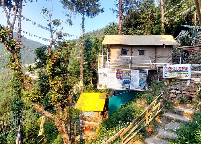 Nomadic Dalhousie - Camping & The Adventure Cafe