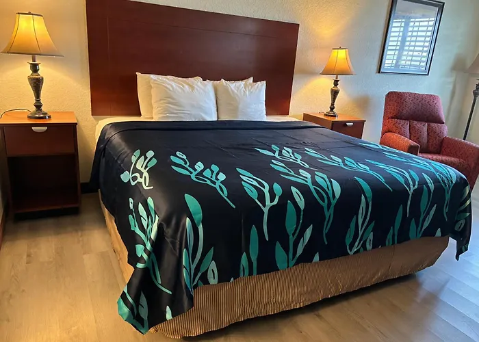 Hotel Bien Venido Pearsall