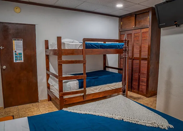 Wild Flowers Rooms Boqueron