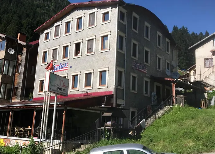 Delux Apart Otel Ayder Yaylası