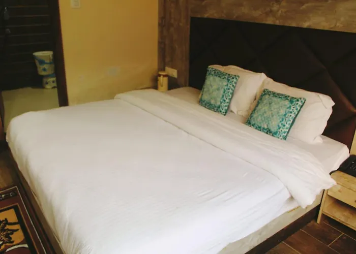 Hotel White Cloud Banikhet